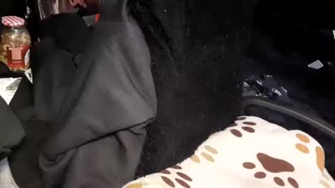 Giorggio Fragacci online show from January 24, 2025, 4:16 am