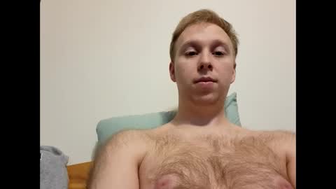 meow732 online show from November 2, 2025, 7:49 pm