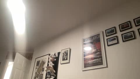 metallica92786 online show from December 20, 2025, 12:07 am