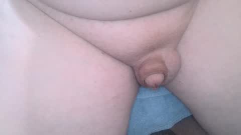 Snapshot of mewade chatting on February 2, 2025, 7:41 am Wade online show from February 2, 2025, 7:41 am