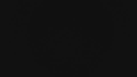 Snapshot of mewade chatting on February 13, 2026, 11:28 am Wade online show from February 13, 2026, 11:28 am