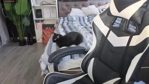 Snapshot of mezzalunaa chatting on February 13, 2026, 5:36 am vollmond online show from February 13, 2026, 5:36 am