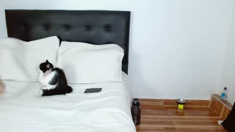Snapshot of michael_0814 chatting on July 5, 2026, 6:42 am Michael Iris online show from July 5, 2026, 6:42 am