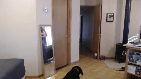 Michelle online show from February 13, 2025, 3:56 pm