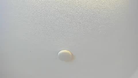 Snapshot of michelleblair1 chatting on July 6, 2026, 12:13 pm michelleblair1 online show from July 6, 2026, 12:13 pm