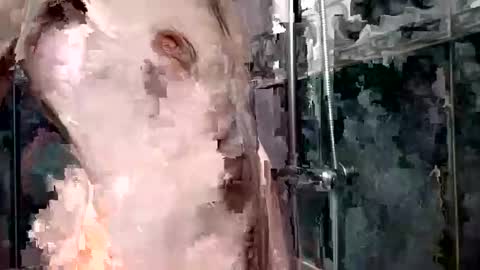 Snapshot of mickavis1975 chatting on January 1, 2025, 5:55 pm mickavis1975 online show from January 1, 2025, 5:55 pm