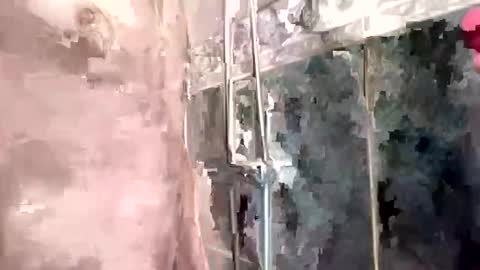 mickavis1975 online show from February 3, 2025, 5:24 pm