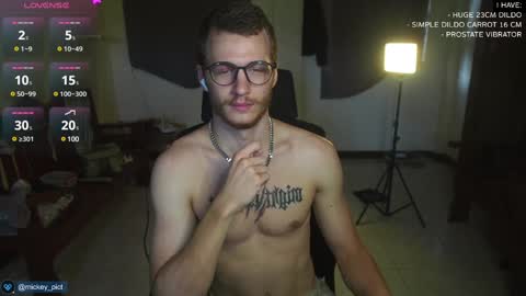 Snapshot of mickey_pict chatting on December 15, 2024, 5:02 am Mickey online show from December 15, 2024, 5:02 am