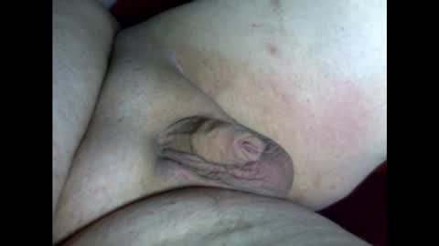 micropimmel online show from February 18, 2025, 5:21 pm