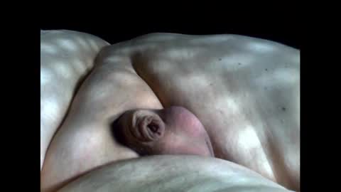 micropimmel online show from September 12, 2025, 3:23 pm