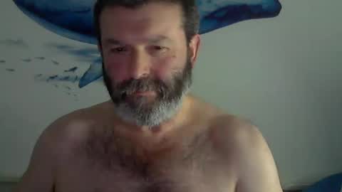 Snapshot of midhir chatting on January 30, 2025, 3:19 pm kike online show from January 30, 2025, 3:19 pm