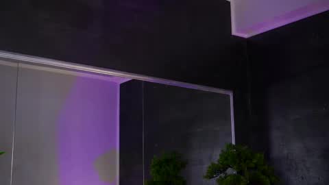 Alice online show from February 8, 2025, 11:12 am