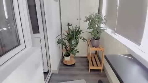 Snapshot of mikasssu chatting on June 20, 2026, 7:22 am mikasssu online show from June 20, 2026, 7:22 am