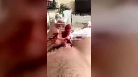 mikeju1995 online show from June 13, 2026, 1:42 pm