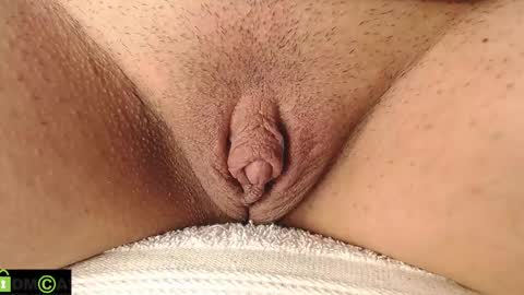 Mikell Williams online show from February 22, 2025, 12:40 pm