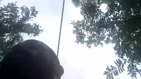 miky17cm online show from January 12, 2026, 7:41 pm