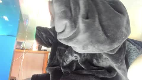 Snapshot of mila_dash chatting on September 24, 2025, 10:51 am Mila Dash online show from September 24, 2025, 10:51 am