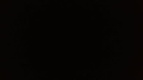 Rosalie  online show from December 16, 2025, 12:43 pm