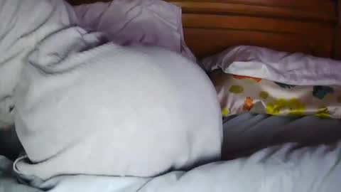 MilfyTitts online show from October 16, 2025, 12:39 pm