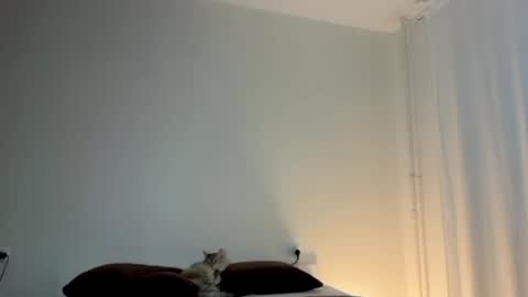 milky__way_ online show from January 10, 2026, 1:57 pm