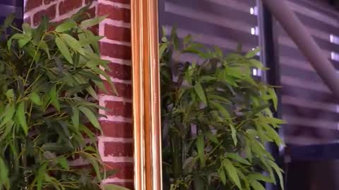 Milla online show from January 10, 2026, 7:54 am