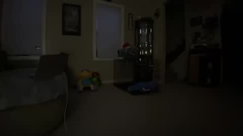 Snapshot of millerjdm chatting on January 7, 2025, 12:31 pm SlimnHungOH online show from January 7, 2025, 12:31 pm