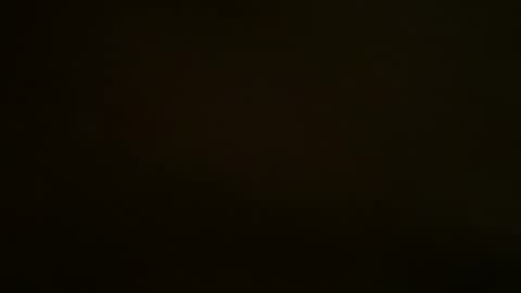 SlimnHungOH online show from February 1, 2025, 11:21 am