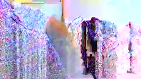 millhill17 online show from March 8, 2026, 4:00 pm