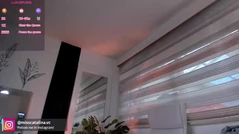 Catalina online show from November 7, 2025, 11:43 am