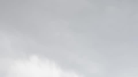 miss_divora online show from February 5, 2026, 7:51 pm