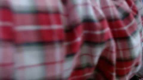 Elis online show from March 10, 2025, 12:15 pm