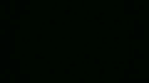 Elis online show from November 13, 2025, 3:55 pm