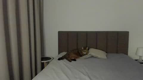 Snapshot of miss_emilyy chatting on February 9, 2025, 8:13 pm Emily online show from February 9, 2025, 8:13 pm