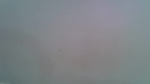 miss_rihanna2 online show from February 4, 2026, 7:09 pm