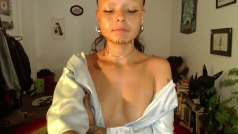 Snapshot of missanarky chatting on February 11, 2025, 2:14 am Anarkitten online show from February 11, 2025, 2:14 am