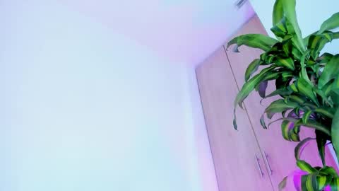 missangeldust online show from December 2, 2025, 11:37 am