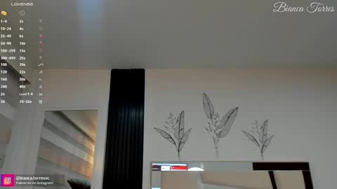 Snapshot of missbianca1 chatting on February 14, 2025, 11:20 pm Bianca Torres online show from February 14, 2025, 11:20 pm