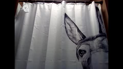 MissEeva online show from December 5, 2024, 6:44 pm