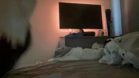 mitchellw7752 online show from December 31, 2024, 12:57 pm