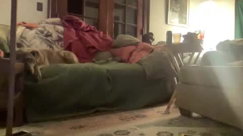 Mizz Storm online show from March 15, 2026, 3:45 am