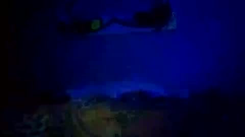 Daddy720 online show from October 14, 2025, 11:05 pm