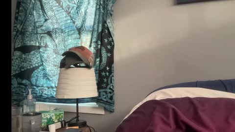 MNTuiLa online show from January 13, 2025, 3:15 pm