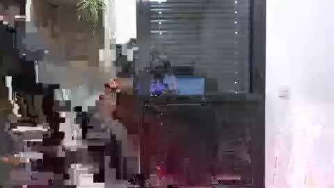 Julien online show from January 24, 2025, 11:26 am