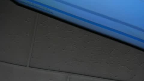 Hey Guys  Im Mollie online show from February 10, 2026, 11:47 am