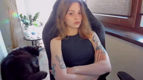 Snapshot of mollydangerous chatting on May 9, 2026, 6:18 am Taisha online show from May 9, 2026, 6:18 am