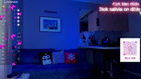 Snapshot of mollyyank chatting on February 17, 2025, 10:18 am Molly online show from February 17, 2025, 10:18 am