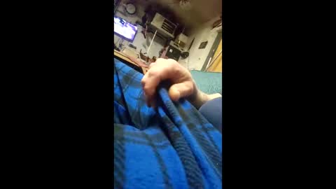 monsterjosh84 online show from February 11, 2026, 7:24 am