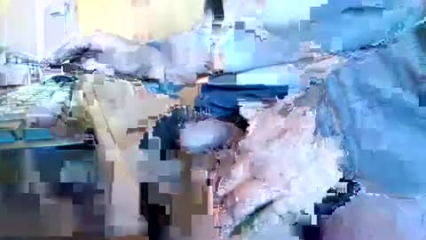 mookie2 online show from January 11, 2025, 9:47 am