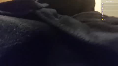 Moonsire online show from January 26, 2025, 6:28 am