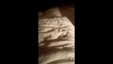 moos1 online show from October 15, 2025, 7:03 pm